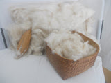 Kapok fiber at its fluffiest best