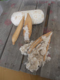 KapoK fiber pod